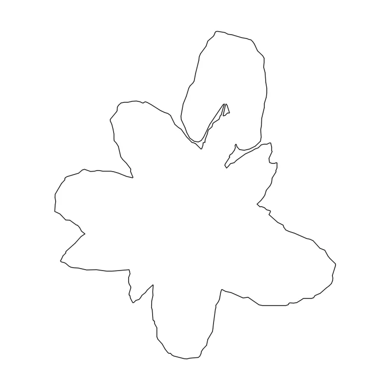Elephant ear plant (Alocasia) CAD block in plan view, line drawing