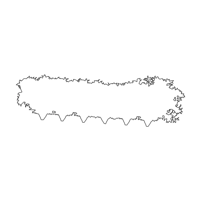 Rectangular hedge CAD block in elevation, line drawing