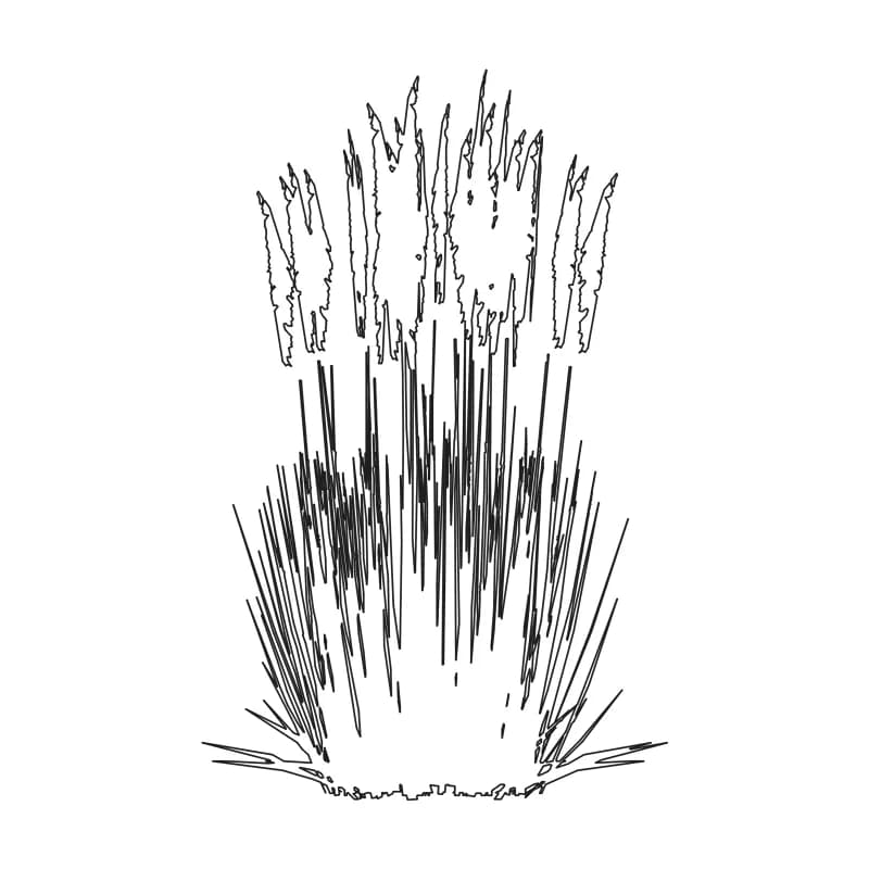 Feather reed grass CAD block in elevation, line drawing