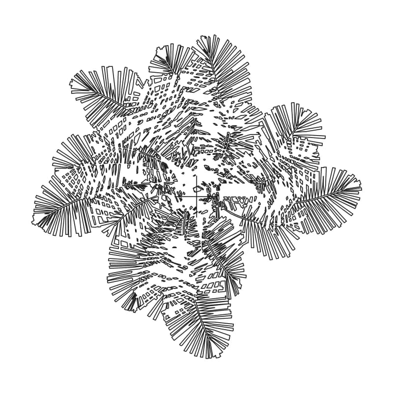Multi-stem palm CAD block in plan view, line drawing